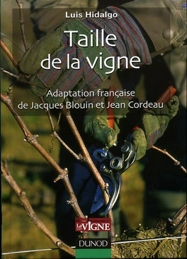 Taille de la vigne