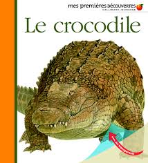 Le crocodile