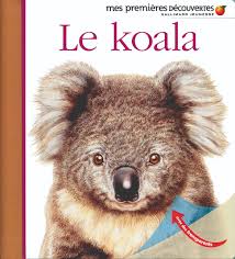 Le koala